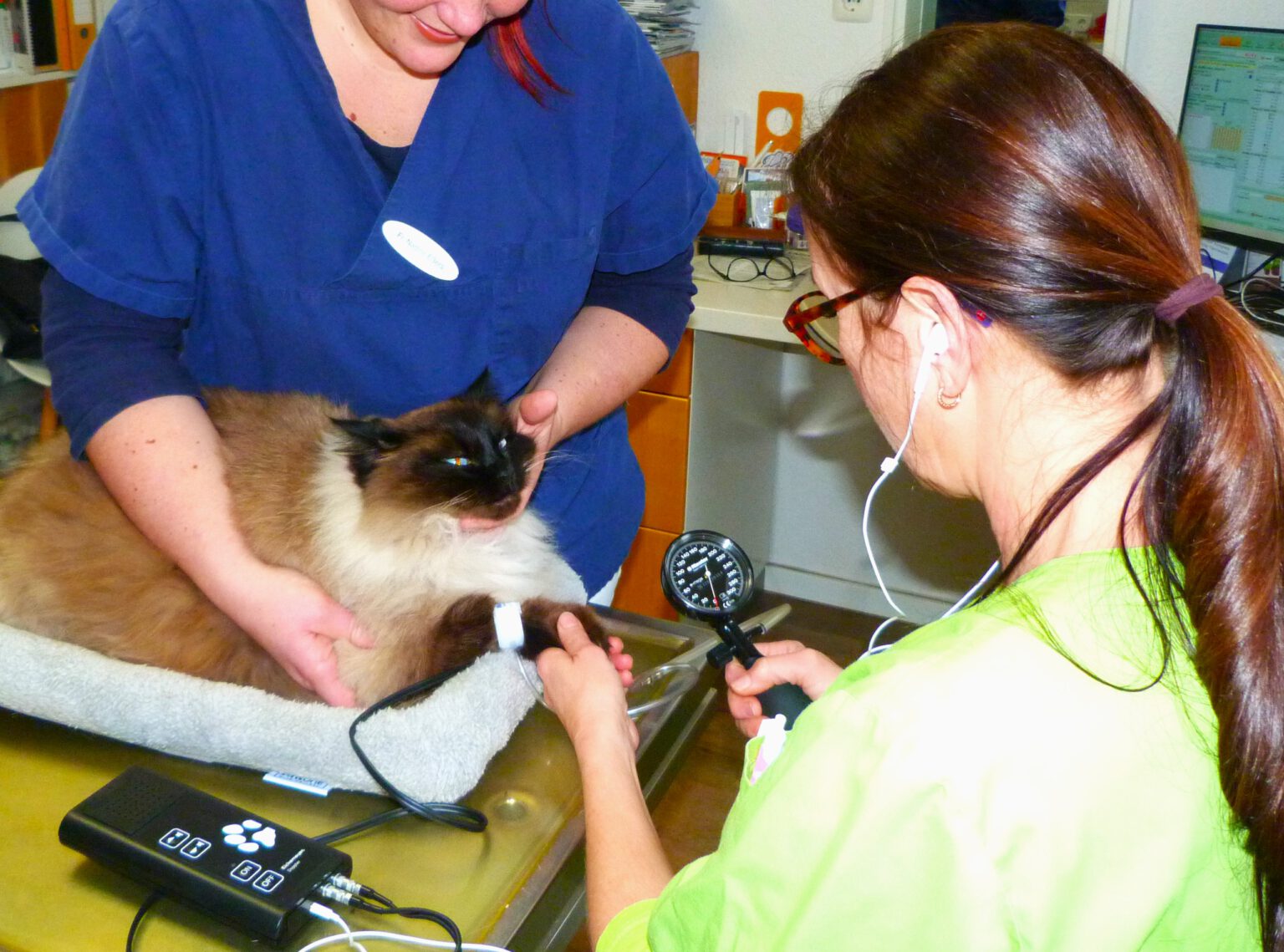 Dr Med Vet Bodo Kröll Tierarzt Service - Kleintierpraxis Dr. med. vet. U. Morys