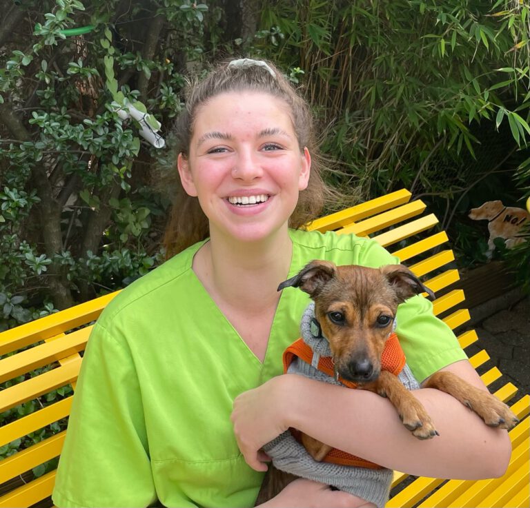 Veterinary assistant Lea Röddecker
